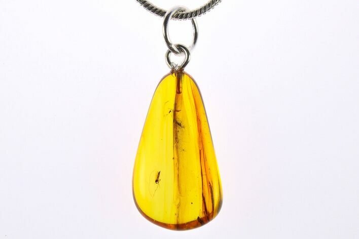 Polished Baltic Amber Pendant (Necklace) - Contains Fly! #273255